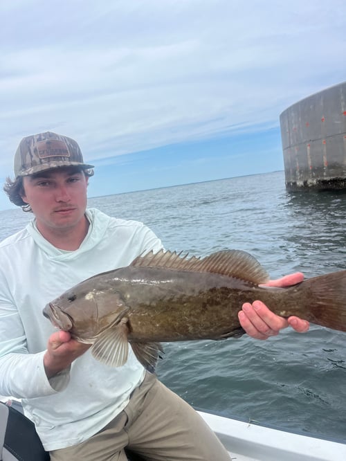 Tampa bay fishing
