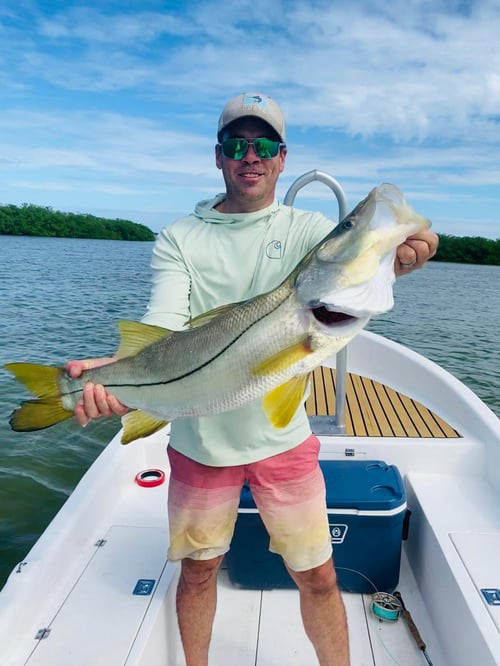 4 hour Fly/Spin fishing trip 