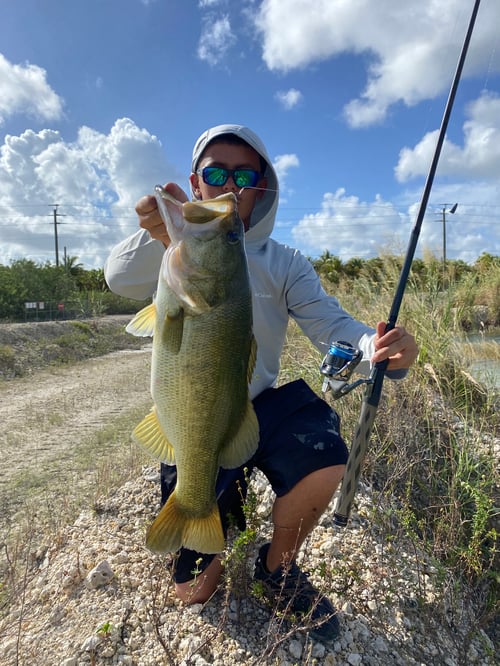 Land Based Peacock Bass Trip