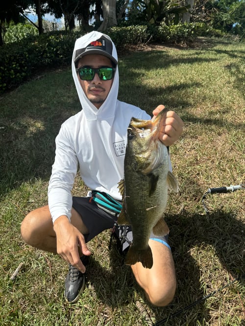 Land Based Peacock Bass Trip