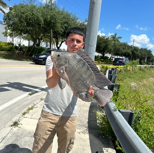 Land Based Peacock Bass Trip
