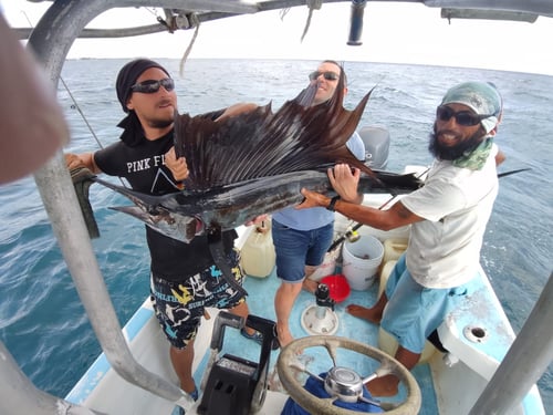 4-8 Hour Fishing Trip