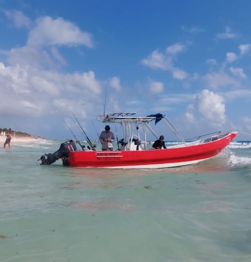 4-8 Hour Fishing Trip