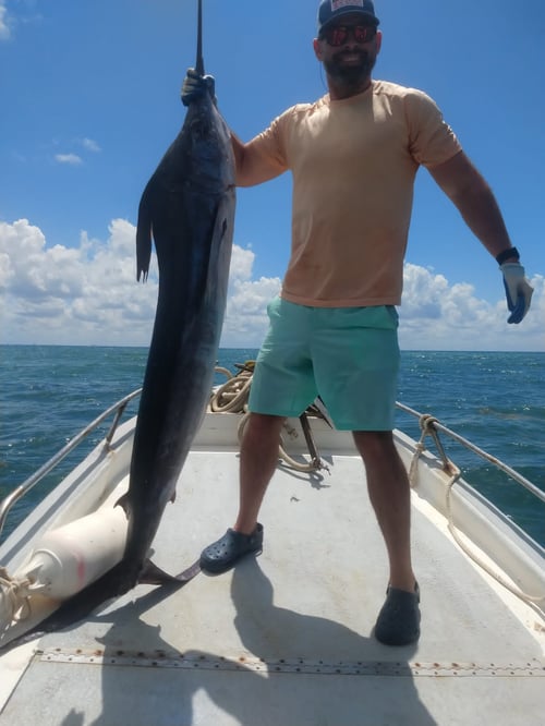 4-8 Hour Fishing Trip