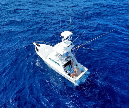 10 Hr Big Game Fishing