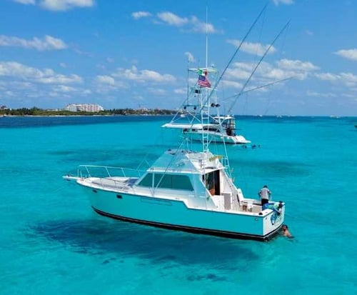 4-8 HR Deep Sea Fishing