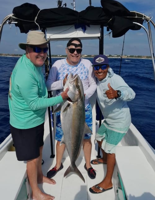 4-8 Hour Offshore Trip