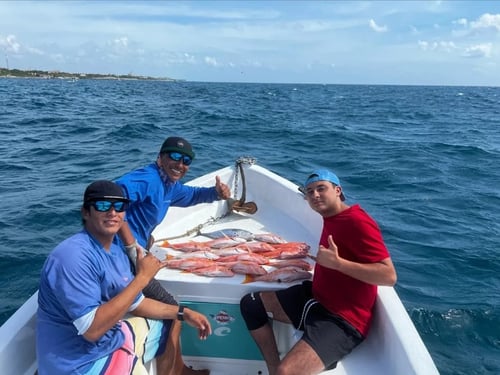 4-8 Hour Offshore Trip