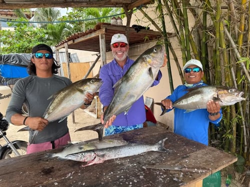 4-8 Hour Offshore Trip