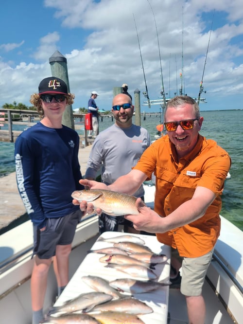 1/2 day Inshore Fishing