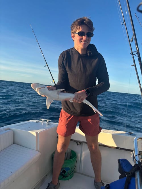 Big Pine Wreck and Reef Fishing