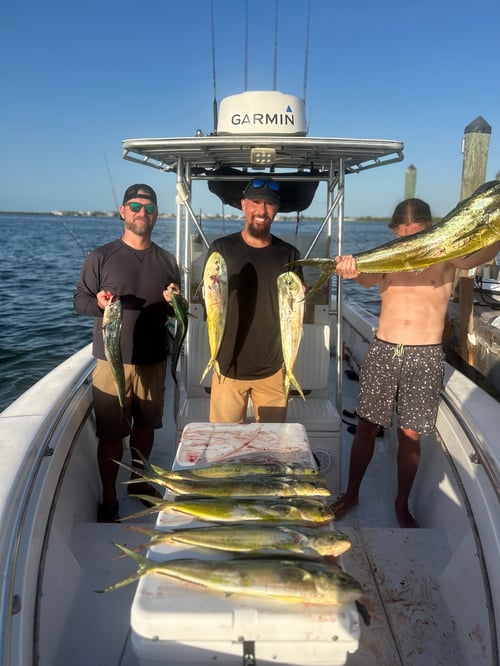 Big Pine Offshore Fishing