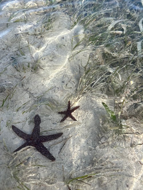 Big Pine Sandbar