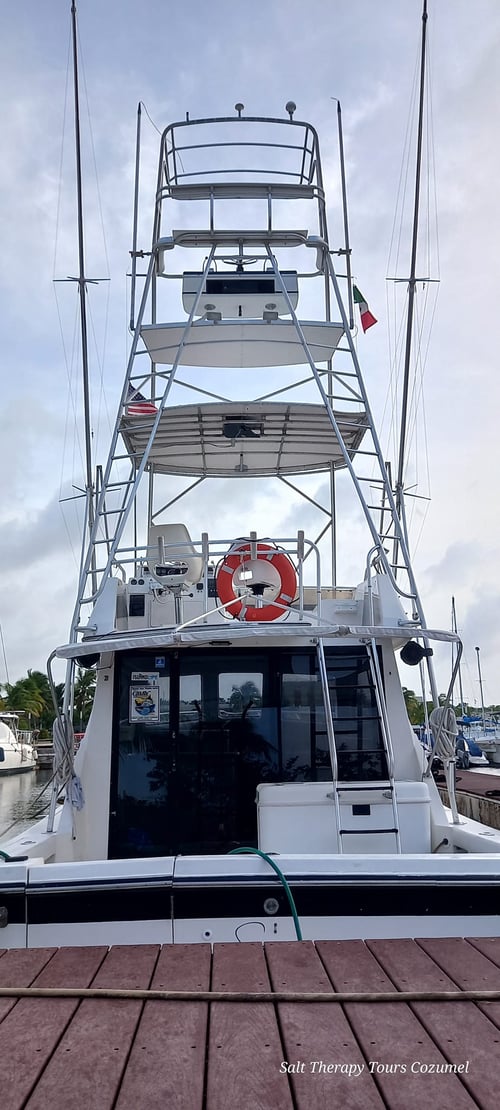 Offshore Fishing Trip