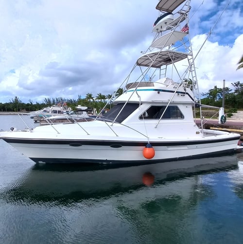 Offshore Fishing Trip