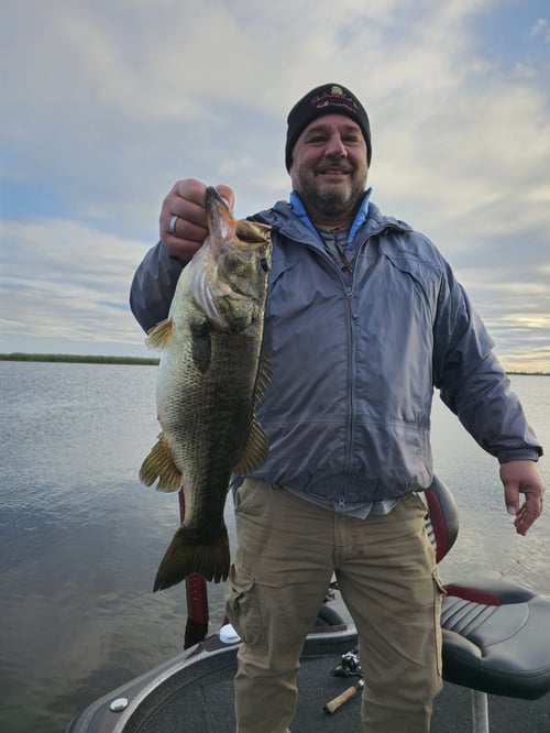 Trophy Bass Trips – Headwaters