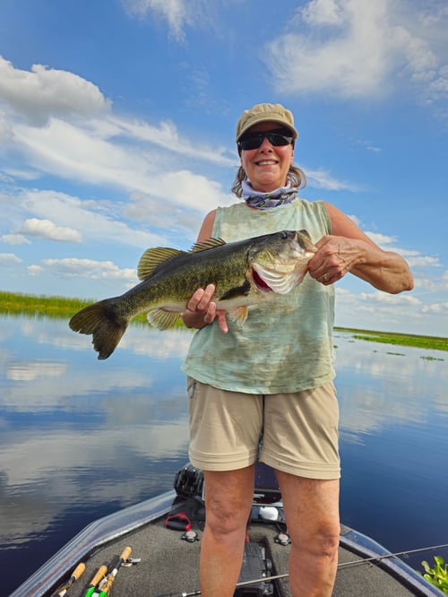 Trophy Bass Trips – Headwaters