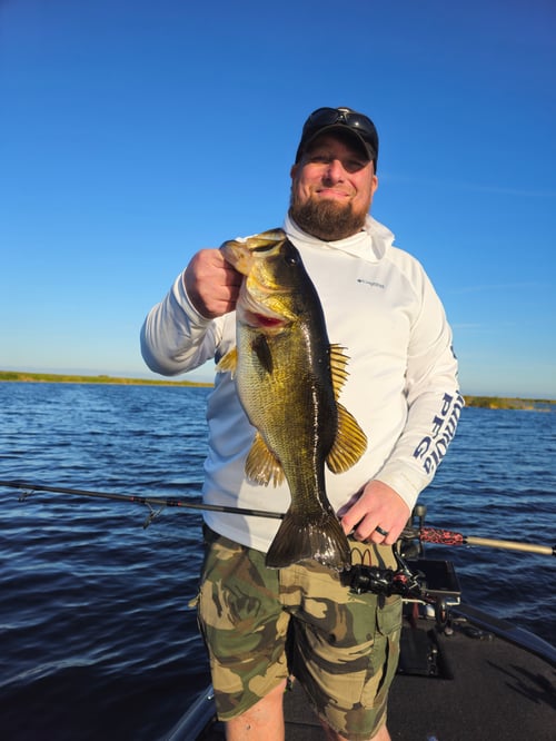 Trophy Bass Trips – Headwaters