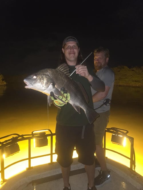 Bowfishing / Seasonal Shark Fishing