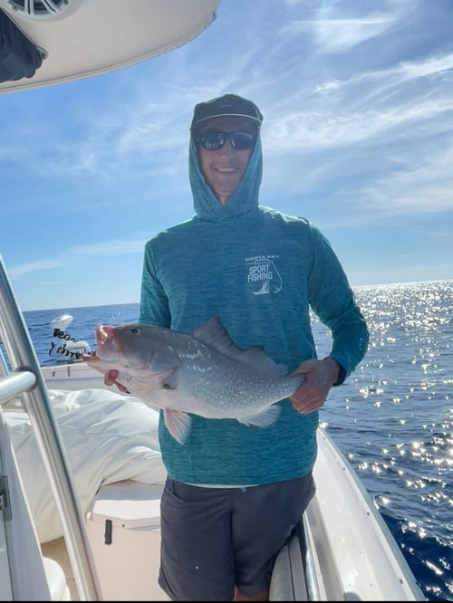 Sarasota Offshore W/ Capt Mike