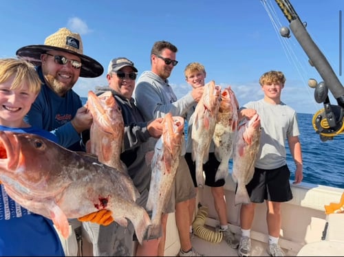Sarasota Offshore W/ Capt Mike