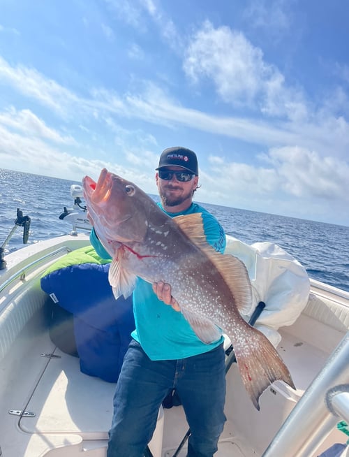 Sarasota Offshore W/ Capt Mike