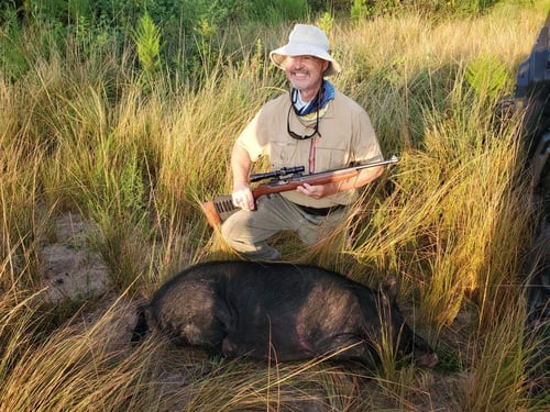 Hog Hunts