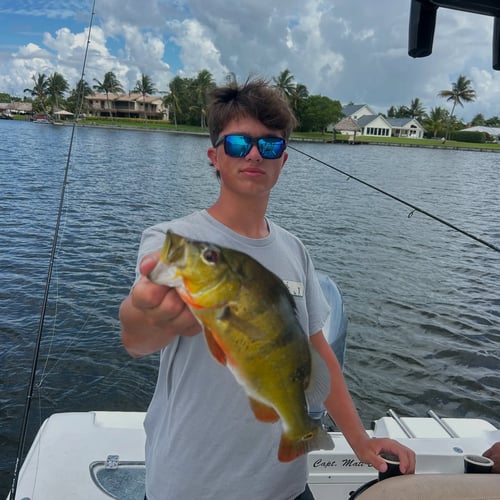 Freshwater Fishing