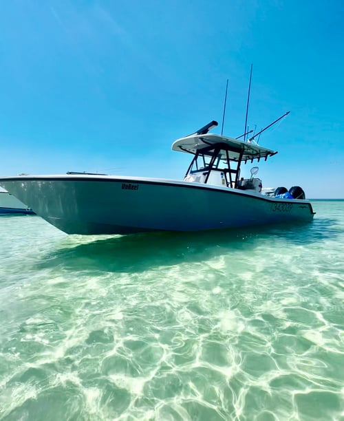 Tuna/Mahi Deep Drop