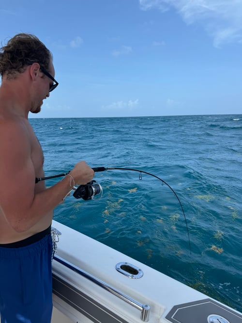 Profesional fishing & beach 
