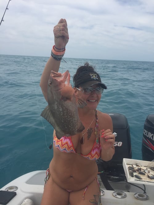 Offshore Fishing Trip