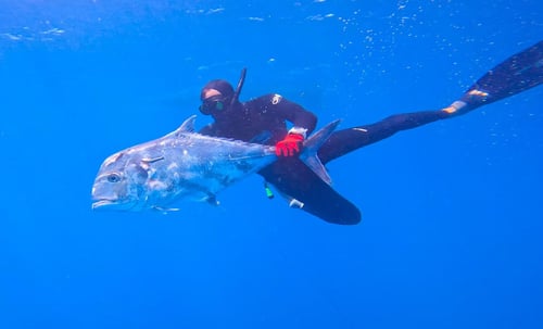 Spearfishing