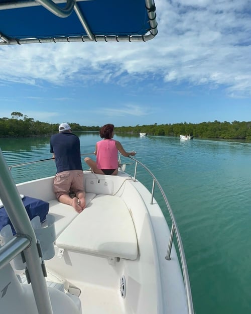 Island Hopping