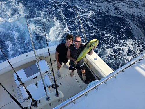 Private 4 Hour Sportfishing Charter