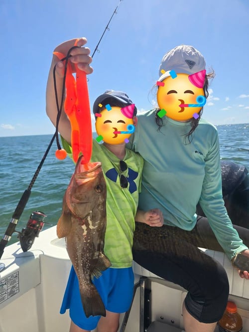 4-8 hour Offshore Fishing