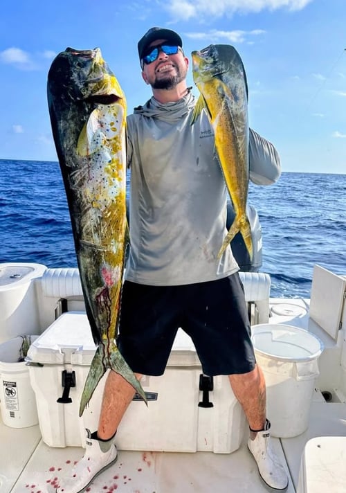 4-8 hour Offshore Fishing