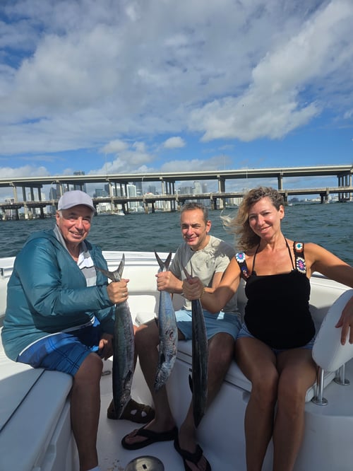 Shark Fishing