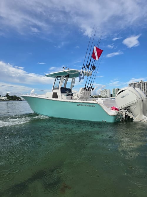 Shark Fishing