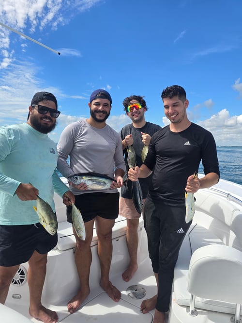 Shark Fishing