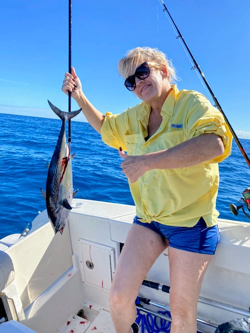 Shark Fishing