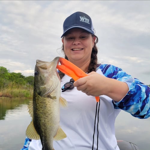 4-8 Hr Trip–Peacock/Largemouth Bass