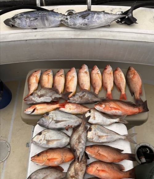  Deep Sea Fishing