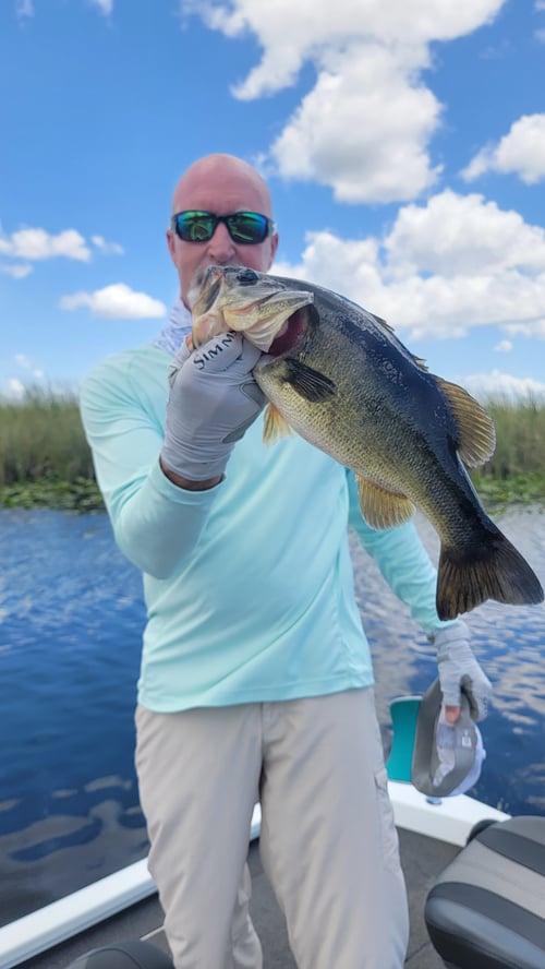 Peacock/Largemouth Afternoon Trip