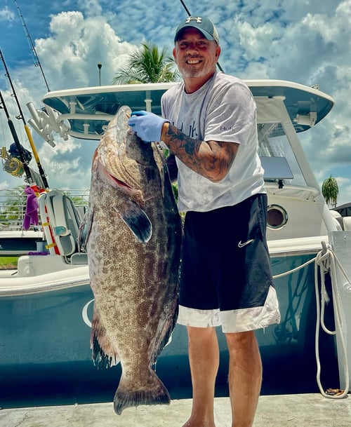 10 Hour Trip – Snapper/Grouper