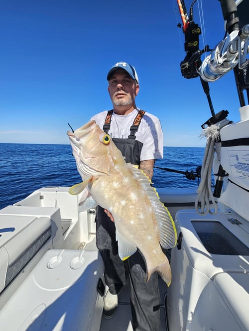 10 Hour Trip – Snapper/Grouper
