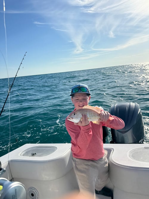 8hr Offshore Fishing