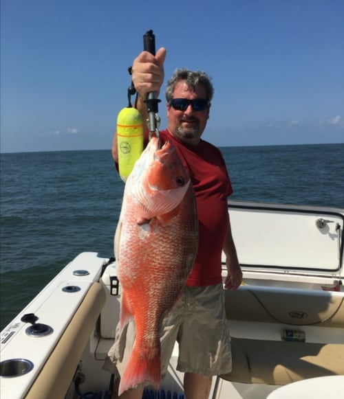 4-8 Hour Offshore Trip