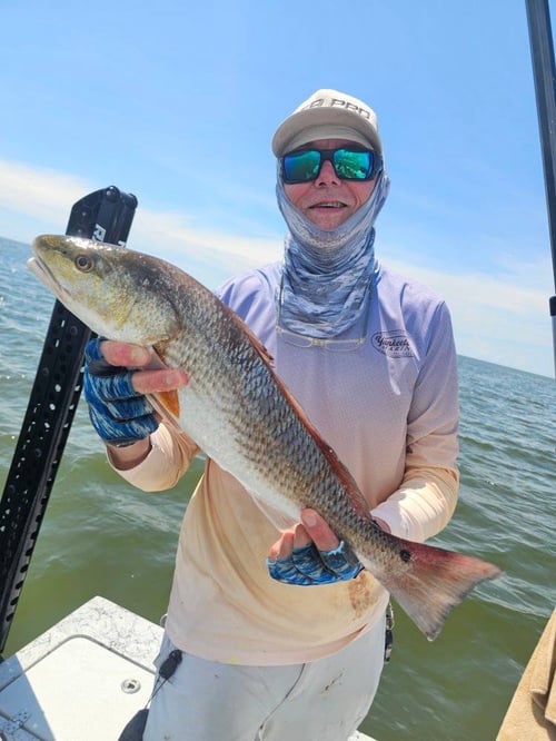 Inshore/Nearshore trip