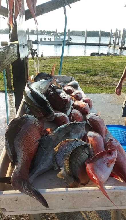 Jacksonville Offshore Fishing