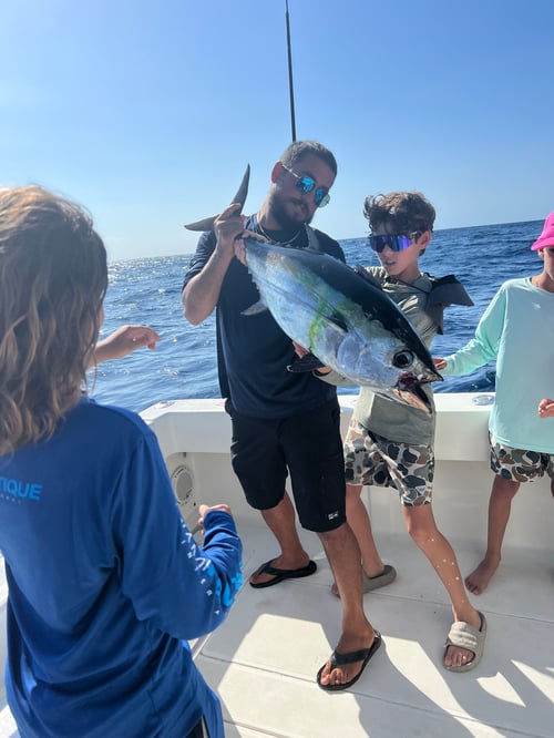 EXTREME SHARK FISHING